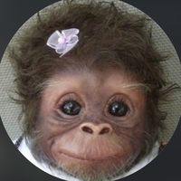 chen_wjjjj