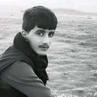 hedy.qawaly