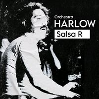 salsa_envinilo
