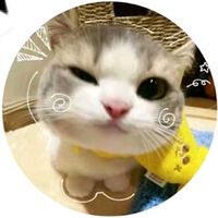 suara asli - MLBB_tiktok
