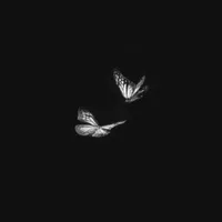 original sound - premiumm.mus