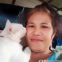 เสียงต้นฉบับ - ทาสแมว
