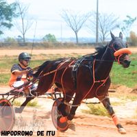 ernandesruivo
