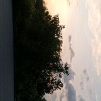 เสียงต้นฉบับ - แป๊บนะเดี๋ยวบอก