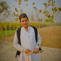 talhavloger8