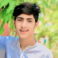 mohsindasti20