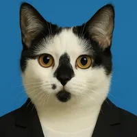 เรามาเล่นกันเถอะ