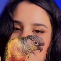 haya_khan5516