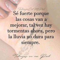 el.alfa.solitariof31244