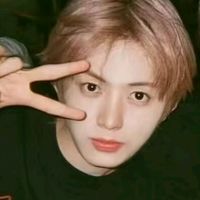 lindebut