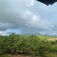 សំឡេងដើម - ផ្កា ឈូកក្រពុំ🥰