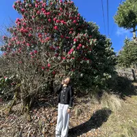 original sound - ihsuhk1