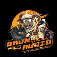 saun.audio