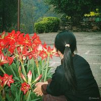 d_yu06