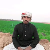 original sound - hodaalgaz