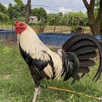 garcia.farm7