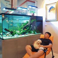 Chẳng thể tìm thấy em