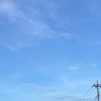 sprint10.00
