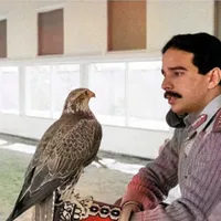 original sound - 973e_