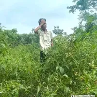 original sound - user45118558517092