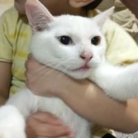 zunaisha.ch57
