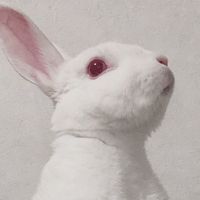 オリジナル楽曲 - もっさん🌸