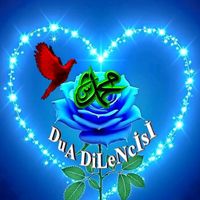 orijinal ses
