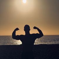 الصوت الأصلي