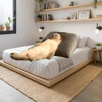 nhạc nền - Thế hệ cợt nhả