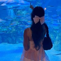 sofia_671830