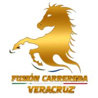 fusion_carrerera_ver