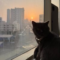 alpha_female_000