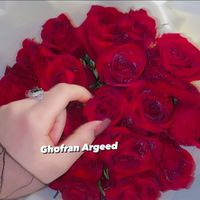 ghab808