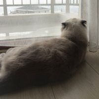 Sesi kullananlar kesfete cikiyor