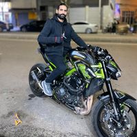laqa_wolf