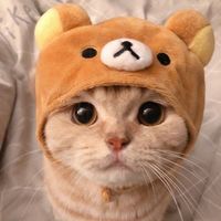 オリジナル楽曲 - 衣