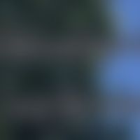 မူရင်းအသံ - Tom // preset.🎟️