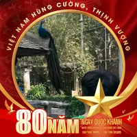 original sound - user9sfvaje2aq