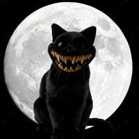 el_gato_del_vudu