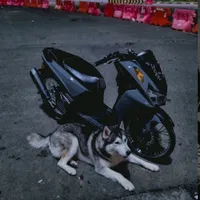 original sound - _hr331