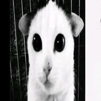rebdoomer67