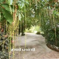 charoonsak9