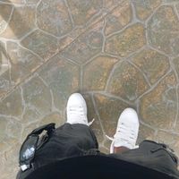 chxcal_10