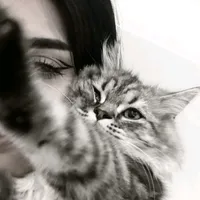 original sound - s_mishal15