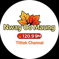 မူရင်းအသံ - တော်လှန် လူငယ်👨🏻