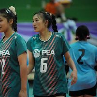nichinan17