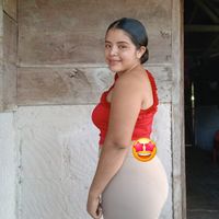 isa33o5