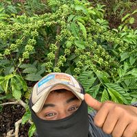 suara asli - ATAU OFFICIAL