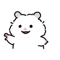 user2969452017253