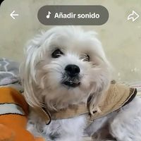 josetsbgzvg